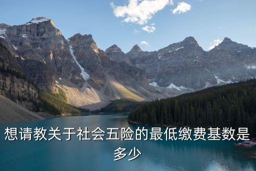 想請教關(guān)于社會五險的最低繳費基數(shù)是多少