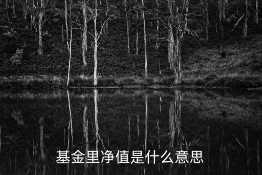 凈值，基金單位凈值是什么意思