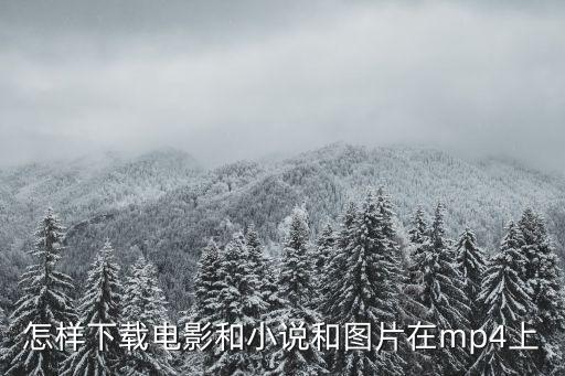 電影圖片小說，怎樣下載電影和小說和圖片在mp4上