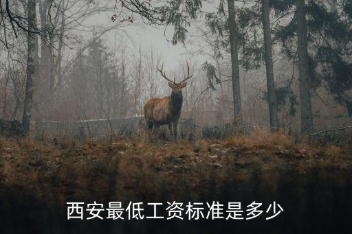 西安最低工資標(biāo)準(zhǔn)是多少