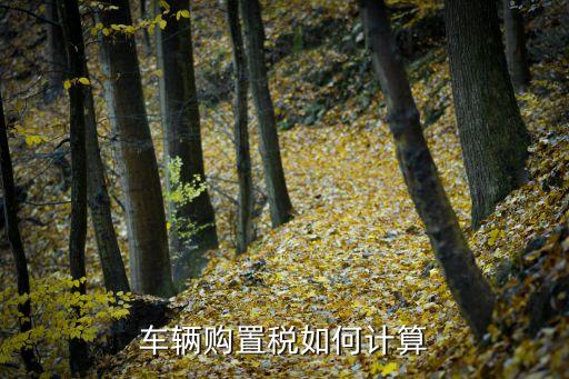 購置稅計(jì)算方法，車輛購置稅怎么計(jì)算