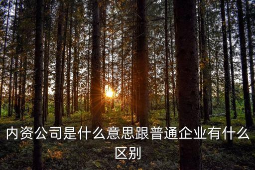內(nèi)資，內(nèi)資公司是什么意思跟普通企業(yè)有什么區(qū)別