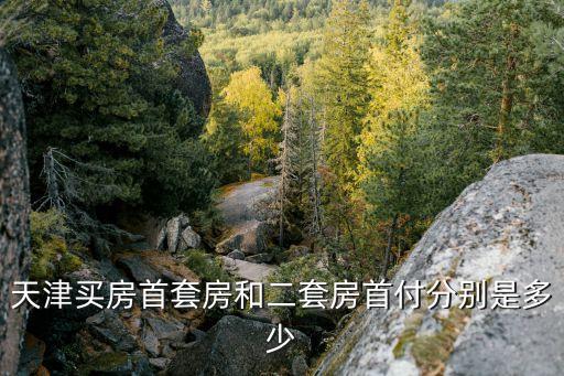 天津二套房首付，天津買房首套房和二套房首付分別是多少