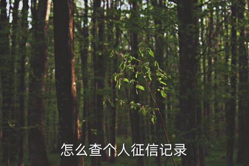 如何查看個(gè)人征信，個(gè)人征信怎么查