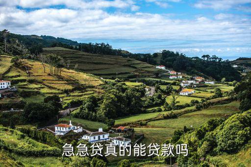 急急貸，你在急急貸貸貸款了嗎可信嗎