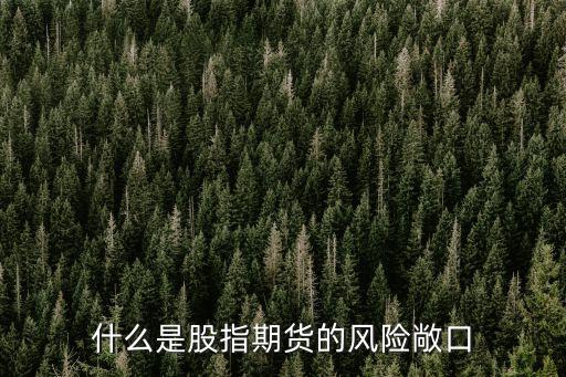 風(fēng)險敞口，什么叫風(fēng)險敞口