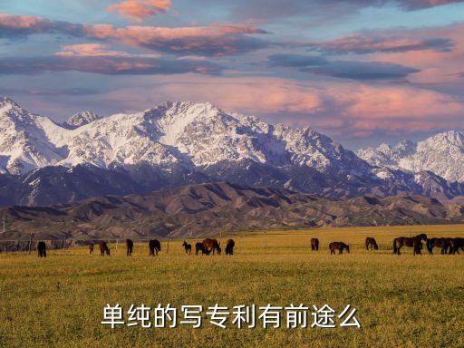 單純的寫專利有前途么