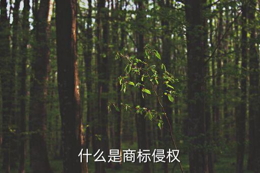 什么是商標(biāo)侵權(quán)