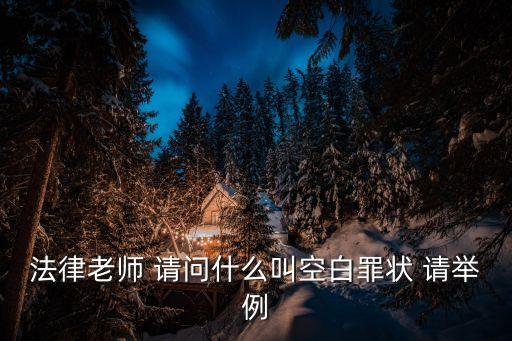 法律老師 請(qǐng)問什么叫空白罪狀 請(qǐng)舉例