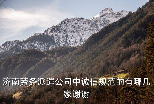 濟(jì)南勞務(wù)派遣公司中誠(chéng)信規(guī)范的有哪幾家謝謝