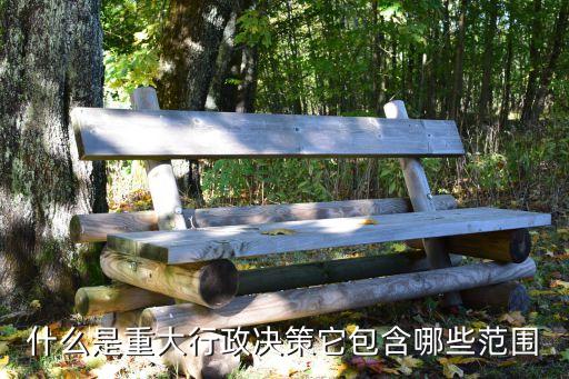 什么是重大行政決策它包含哪些范圍