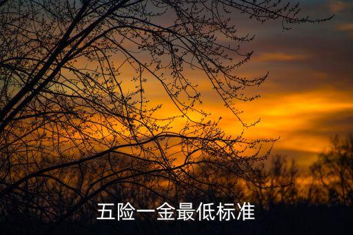 五險一金最低標(biāo)準(zhǔn)，五險一金最低標(biāo)準(zhǔn)