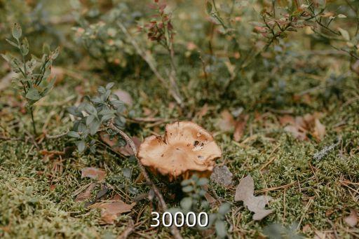 30000