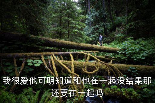 我很愛他可明知道和他在一起沒結(jié)果那還要在一起嗎