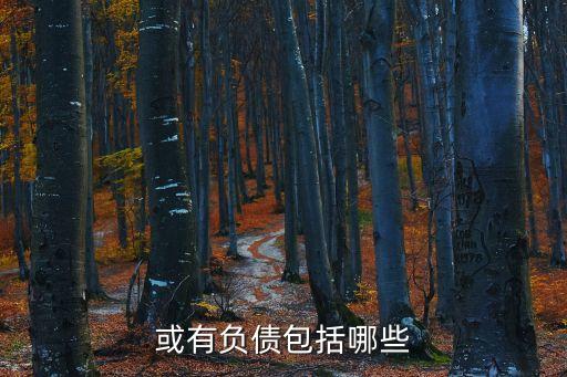 或有負(fù)債包括哪些