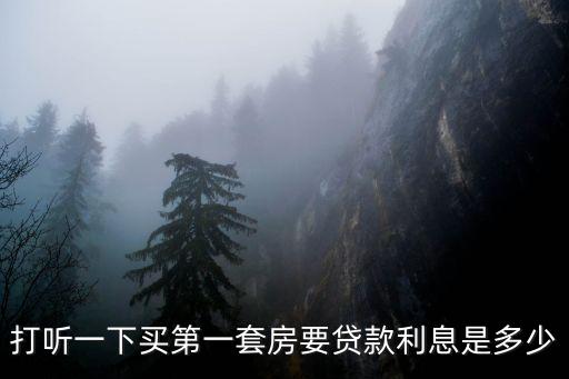 打聽一下買第一套房要貸款利息是多少