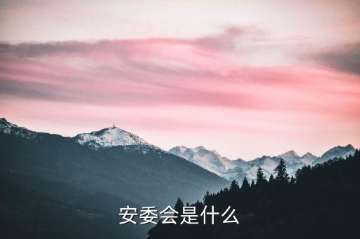安委會(huì)，安委會(huì)是什么啊