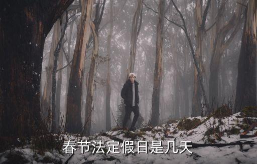 春節(jié)假日，春節(jié)假期是哪幾天