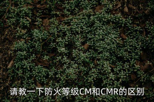 請教一下防火等級CM和CMR的區(qū)別