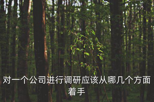 對一個公司進(jìn)行調(diào)研應(yīng)該從哪幾個方面著手