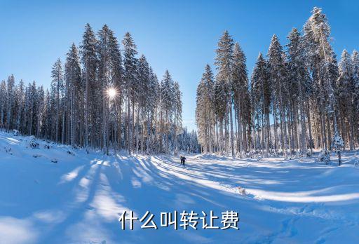 轉(zhuǎn)讓費(fèi)，什么叫轉(zhuǎn)讓費(fèi)