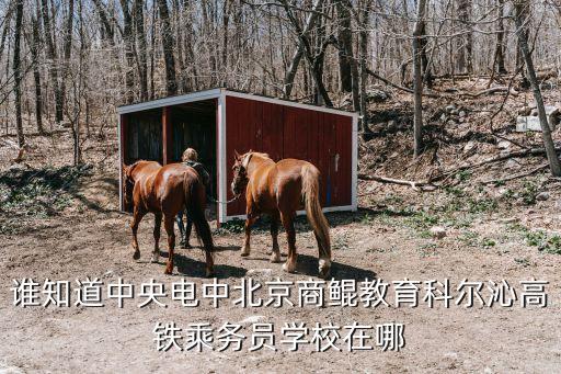 高鐵乘務(wù)員培訓(xùn)學(xué)校，報高鐵乘務(wù)員有哪些學(xué)校