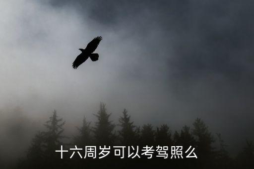 新規(guī)16周歲可以考駕照，十六周歲可以考駕照么