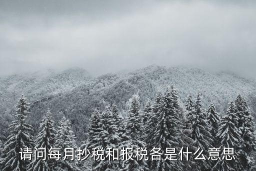 請問每月抄稅和報稅各是什么意思