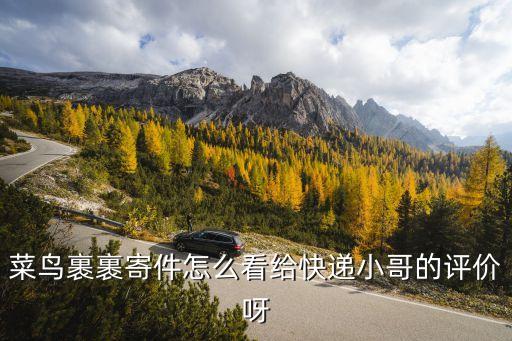 你好菜鳥，菜鳥裹裹寄件怎么看給快遞小哥的評價呀