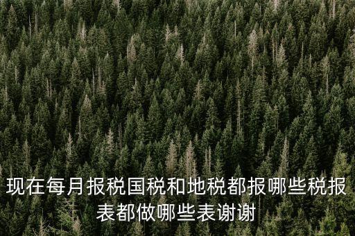 現(xiàn)在每月報稅國稅和地稅都報哪些稅報表都做哪些表謝謝