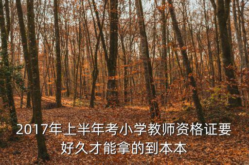 17考教師，教師資格證17年什么時間考試