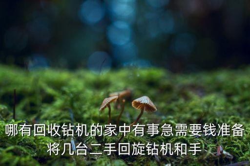 哪有回收鉆機(jī)的家中有事急需要錢準(zhǔn)備將幾臺(tái)二手回旋鉆機(jī)和手