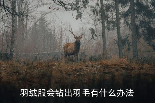 羽絨服會鉆出羽毛有什么辦法