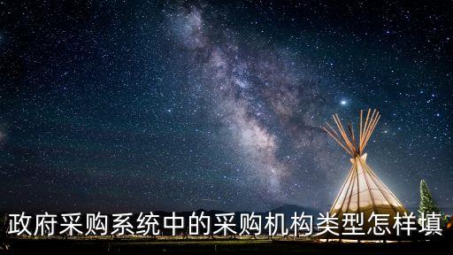 政府采購(gòu)系統(tǒng)中的采購(gòu)機(jī)構(gòu)類型怎樣填