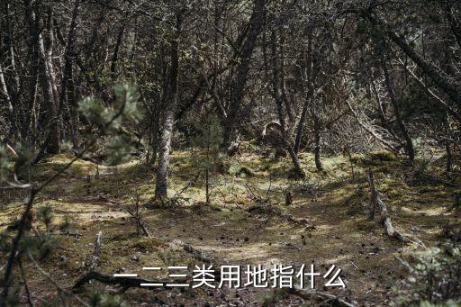 一二三類用地指什么