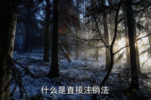 什么是直接注銷法