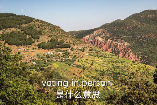 voting in person 是什么意思