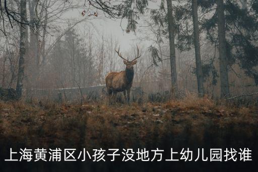 黃浦區(qū)教育局，上海黃浦區(qū)小孩子沒地方上幼兒園找誰