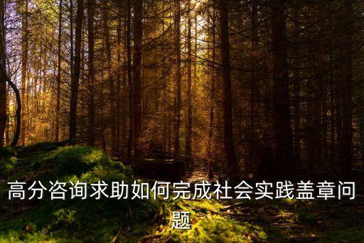 社會(huì)實(shí)踐蓋章，高分咨詢求助如何完成社會(huì)實(shí)踐蓋章問題