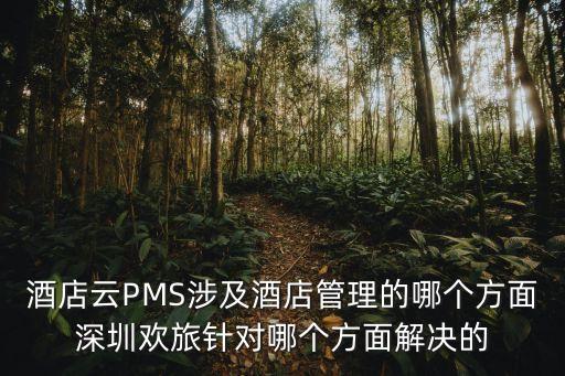 酒店云PMS涉及酒店管理的哪個方面深圳歡旅針對哪個方面解決的