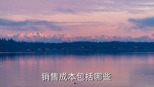 銷售成本包括哪些，銷售成本包括哪些