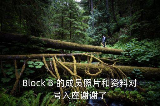 Block B 的成員照片和資料對(duì)號(hào)入座謝謝了