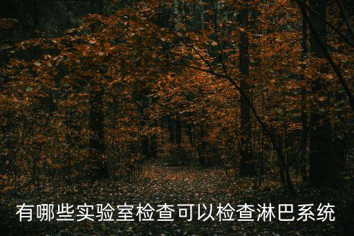 有哪些實(shí)驗(yàn)室檢查可以檢查淋巴系統(tǒng)