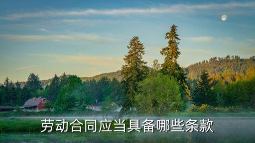 勞動(dòng)合同應(yīng)當(dāng)具備哪些條款
