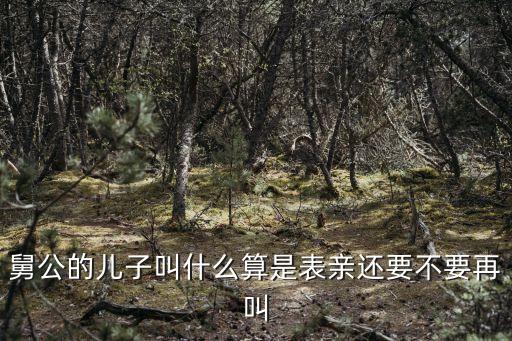 舅公的兒子叫什么算是表親還要不要再叫