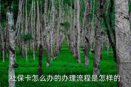 社?？ㄞk理流程，社?？ㄔ趺崔k的辦理流程是怎樣的