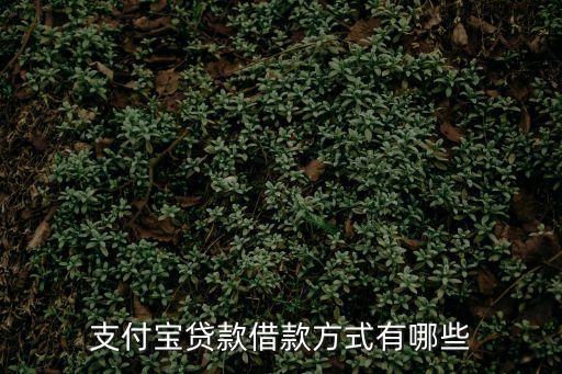 支付貸，支付寶貸款申請方法 支付寶小微貸怎么申請貸款