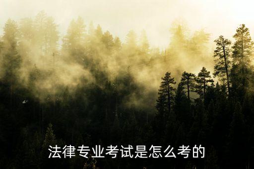 法律考試，法律專業(yè)考試是怎么考的
