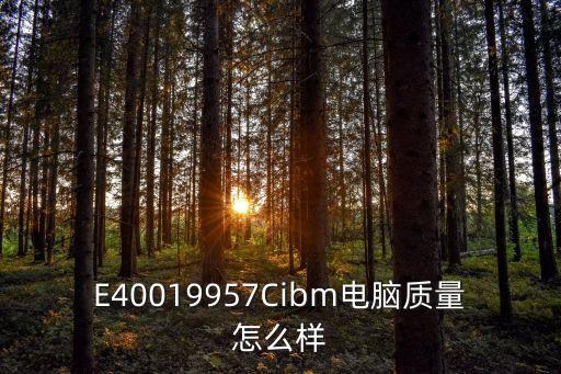 cibm，E40019957Cibm電腦質(zhì)量怎么樣