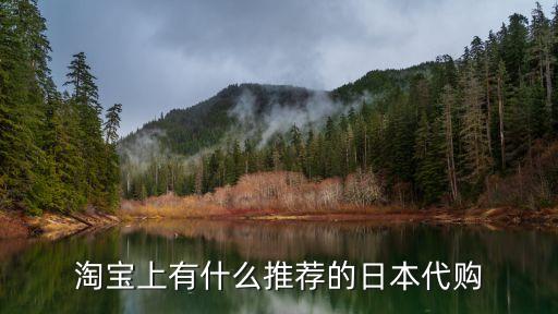 淘寶上有什么推薦的日本代購